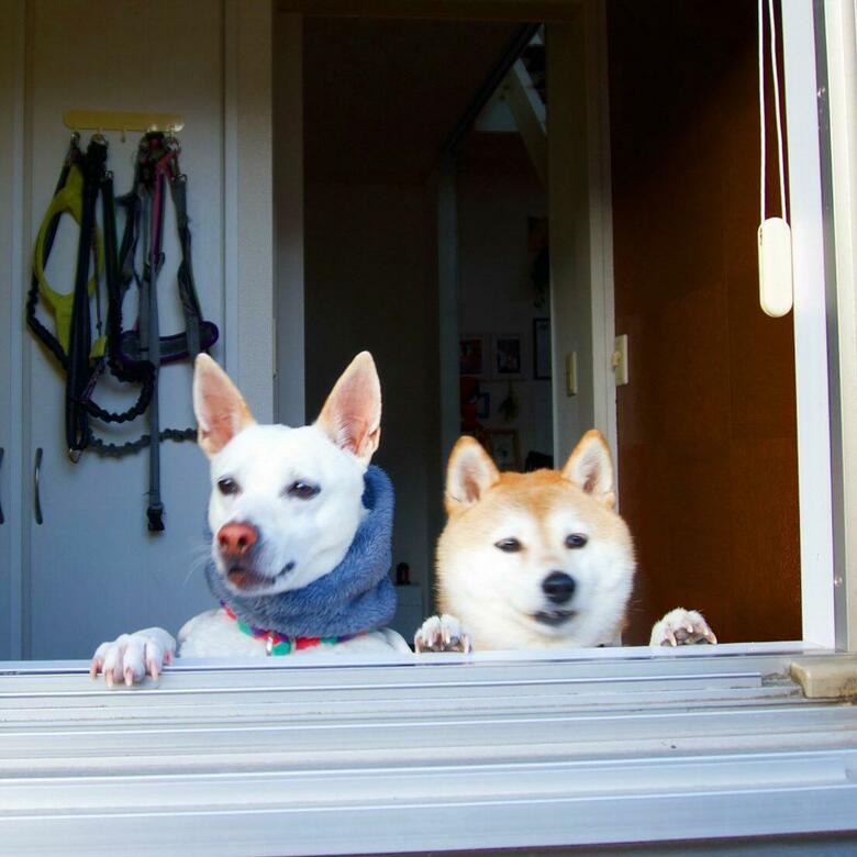 提供：橋本真実さん
