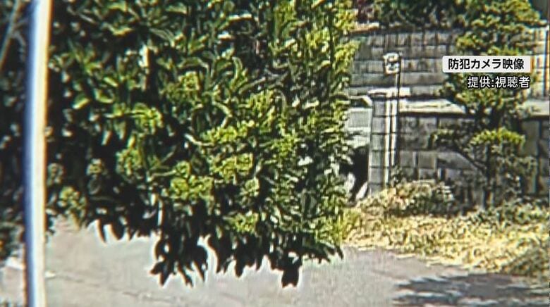 防犯カメラの映像（提供：視聴者）