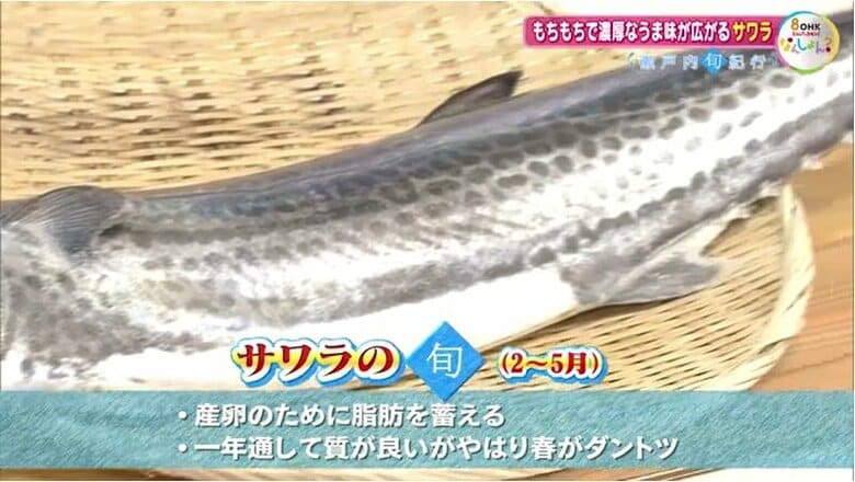 サワラの「旬」