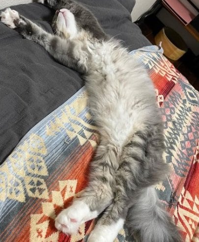 伸びるあくびくん