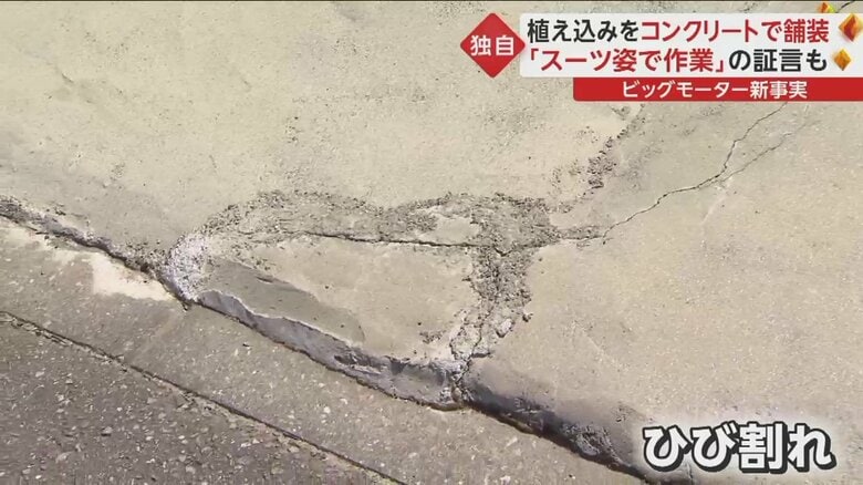 ところどころ、ひび割れも