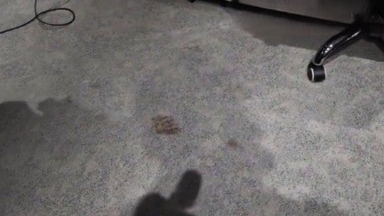 事務所に残された足跡