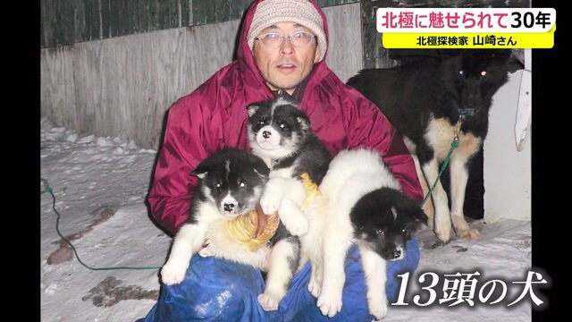 犬ぞりの技術を学び、犬たちと信頼関係を築くことができたが…