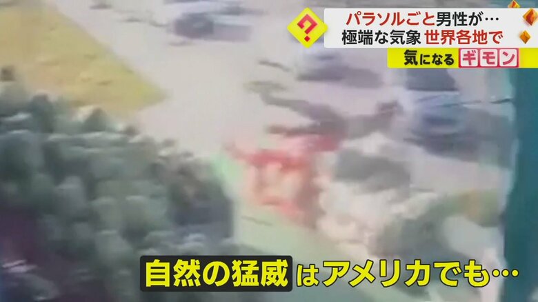 （andal Manav&Balikcilik）