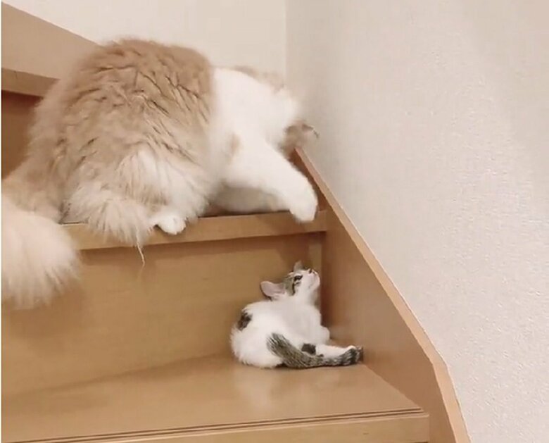 だがどのパンチも