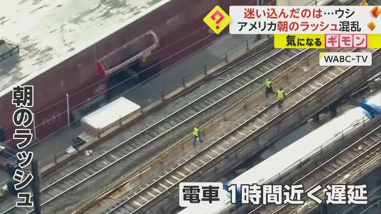 ウシが現れた駅の線路を歩く作業員