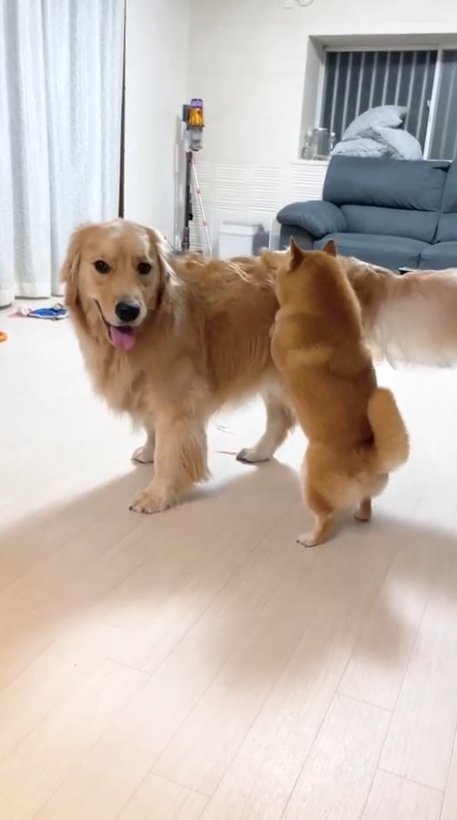 提供：うにandおからさん