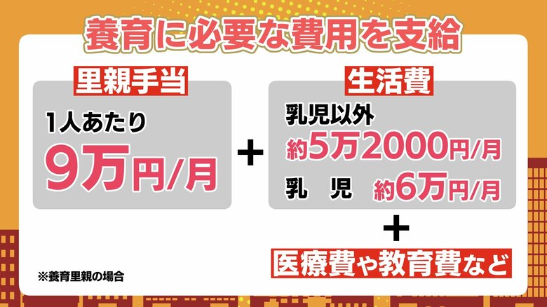 国からの支援も