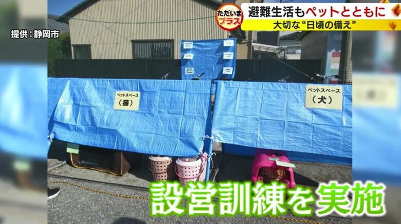 静岡市の飼育スペースは屋外が多い