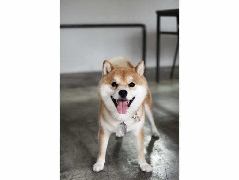 提供：エイトデザイン