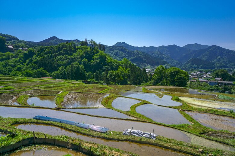 田植え前から”手入れ”されている（イメージ）