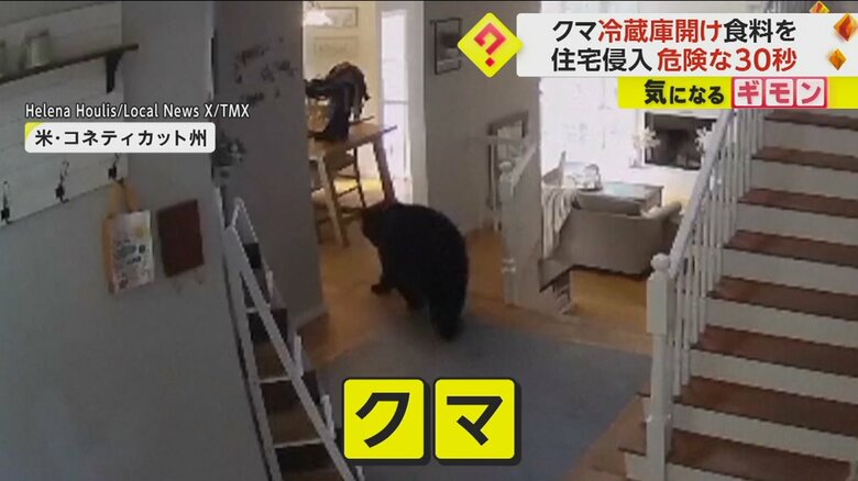 アメリカ・コネティカット州で、住人の留守中にクマがキッチンに侵入