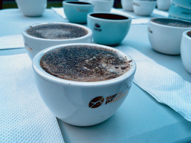世界一のパナマ・ゲイシャコーヒーの品評会 The Best of Panama 世界一のゲイシャコーヒーは、甘い花の香りとチョコレートのようなコーヒー果実由来の複雑な甘さがある。