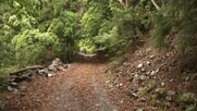 41歳男性が遭難 捜索再開 笊ケ岳に日帰り登山