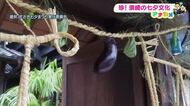 須崎の七夕は「わら馬」と「ナス」をつるす？継承される伝統の“謎”と体験スポット【高知】