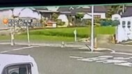 熊本地震 田んぼに断層　防犯カメラにずれ動く瞬間