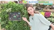 注目の都市型マルシェ「ひろしまグリーンズマーケット」6～7日開催　こだわり直産品や手作り雑貨が大集合