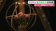 アジサイと竹あかりが共演　あじさい祭開催中の下田市