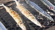 秋の味覚「さんま」27.8%値上がり　緑茶33.8%、輸入牛肉13.1%など　総合で2.1%上昇　【9月消費者物価指数】