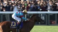 【菊花賞・GⅠ】 春のクラシックホース2頭不在…混戦必至の最終戦! “最も強い馬”として淀の舞台で菊の大輪を咲かせるは?