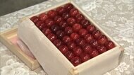 「佐藤錦」500gに100万円 山形でサクランボの初競り 1粒あたり1万4000円超