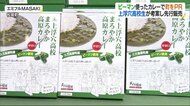 久万高原町の特産PR!上浮穴高生開発のグリーンカレー先行販売【愛媛】