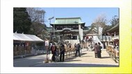 伊予路に春呼ぶ「椿まつり」 新型コロナ感染対策で2年連続で神事・露店なし 2月3日に開幕【愛媛】