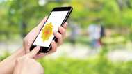 「今なら無料」にダマされるな!94.3%が見落とすスマホ広告の“注意書き”