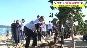 ツバキを“復興の象徴”に 陸前高田市で植樹活動<岩手県>