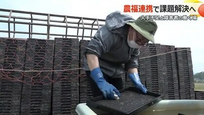 農業の人手不足解消と障害者の就労　農業と福祉の連携で“ウィンウィン”の関係構築へ　敦賀市では障害者が農作業【福井】