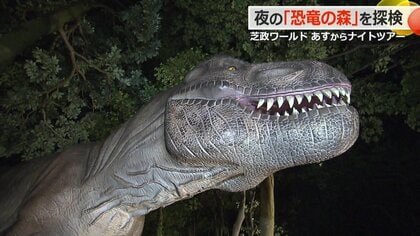 夜の恐竜に出会える！暗闇にギラっと光る目…等身大ロボ60体が潜む「恐竜の森」　夏休み限定ナイトツアーに潜入！