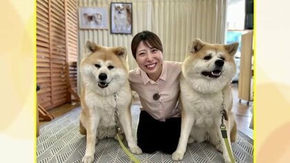 「忠犬ハチ公」のふるさとで「秋田犬」満喫の“ワン”ダフルな旅を！　出迎えに散歩・宿での触れ合いも【秋田発】