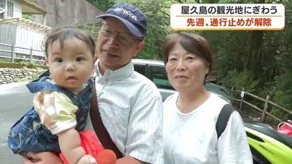 「ジブリの世界」に人が戻った　屋久島・縄文杉ルートが台風24号の被害から再開　荒川登山バスに登山客が続々