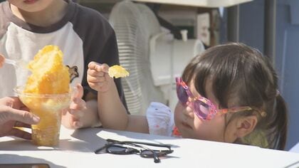 ガパオライスやマンゴーのかき氷も…グルメや文化を楽しめる『タイフェスティバル』名古屋・栄で17日まで開催
