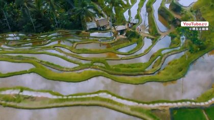 【フィリピン】政府の観光キャンペーンPR動画に他国のイメージ映像！？｢フィリピンでは見たことない光景だった…｣