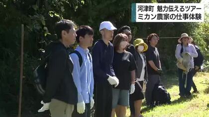 静岡県河津町　地域の魅力を伝えるツアー　移住を考える人たちが参加　ミカン農家の仕事体験も