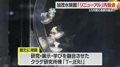 鶴岡市加茂水族館リニューアルオープンを前に内覧会　山形・鶴岡市