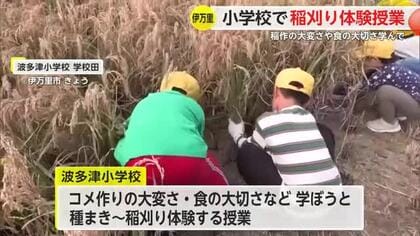 「たのしかったけど大変だった」全校児童約80人がもち米の稲刈り【佐賀県伊万里市】