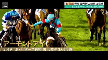 日本馬22頭が出走！26日夜「ドバイワールドカップデー」アラビアンドリームをつかむのは｜FNNプライムオンライン