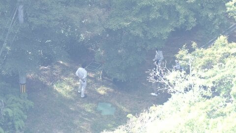 ランニング中の70代男性をクマが襲撃　右頬引っかかれ軽傷　岐阜・池田町　県内の目撃情報は今年度525件