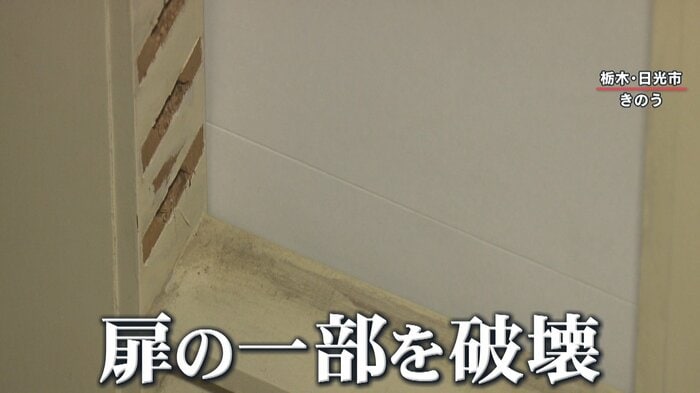 クマが破壊したと思われる