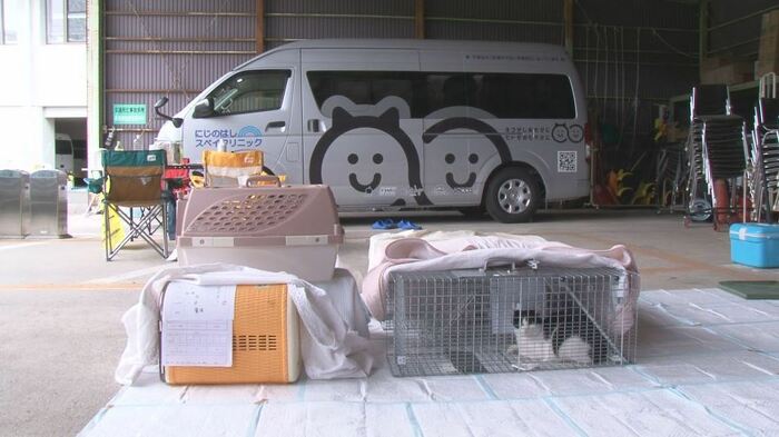 出張手術を行う車