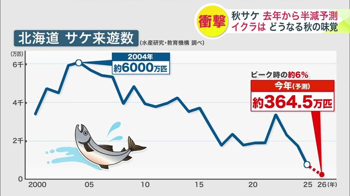 北海道のサケ来遊数の推移(提供:水産研究・教育機構)
