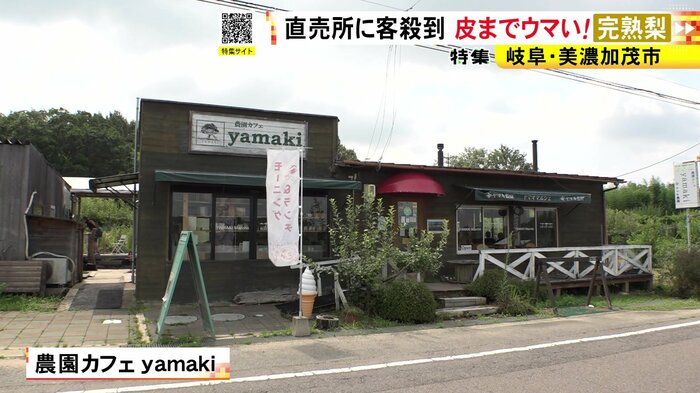 ニュースONE