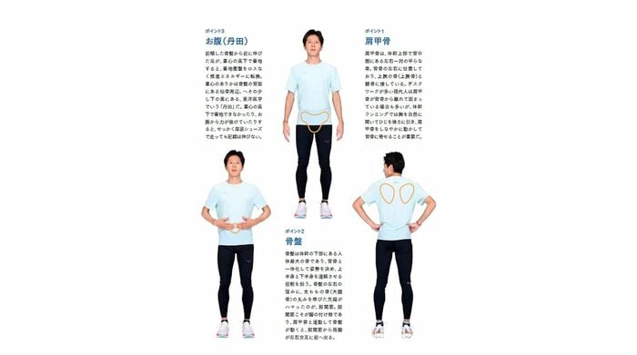 重視したい体幹3つの部位(『厚底シューズ時代の新・体幹ランニング』より)