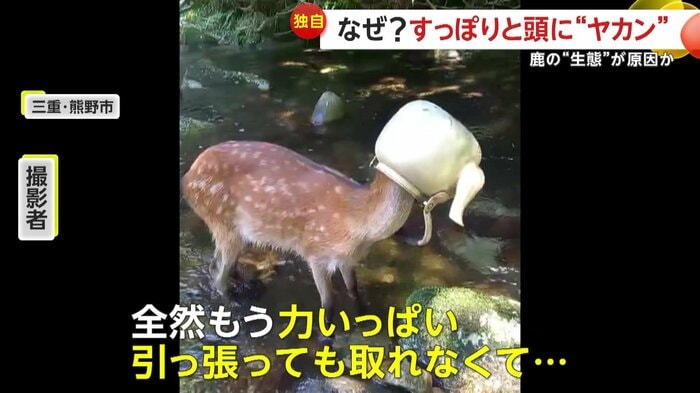 男性は外れないやかんに困ったという(映像提供:川魚漁師ときどき海)