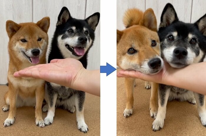 もう一度手のひらにあご乗せ