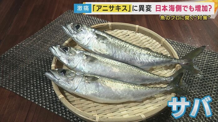 患者が最も食べていた魚はサバ