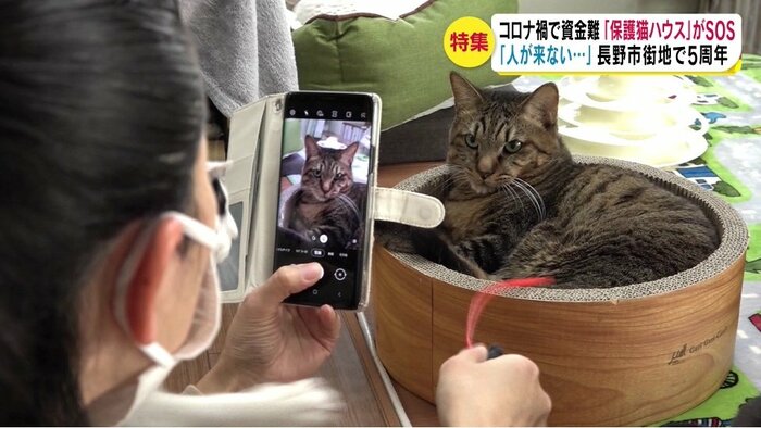 インスタグラムやツイッターもほぼ毎日、更新
