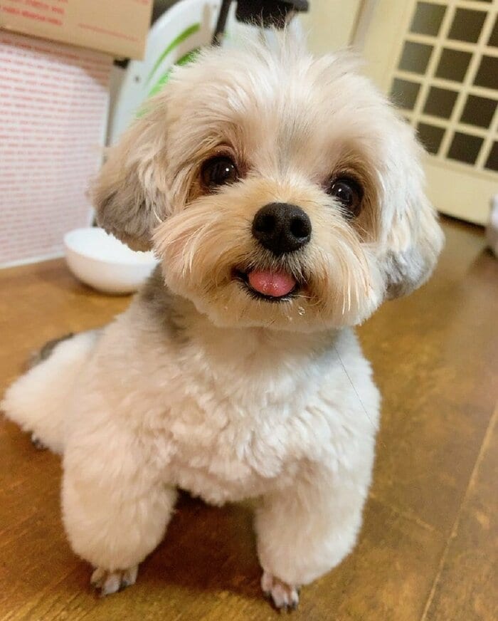 ぽたちゃん